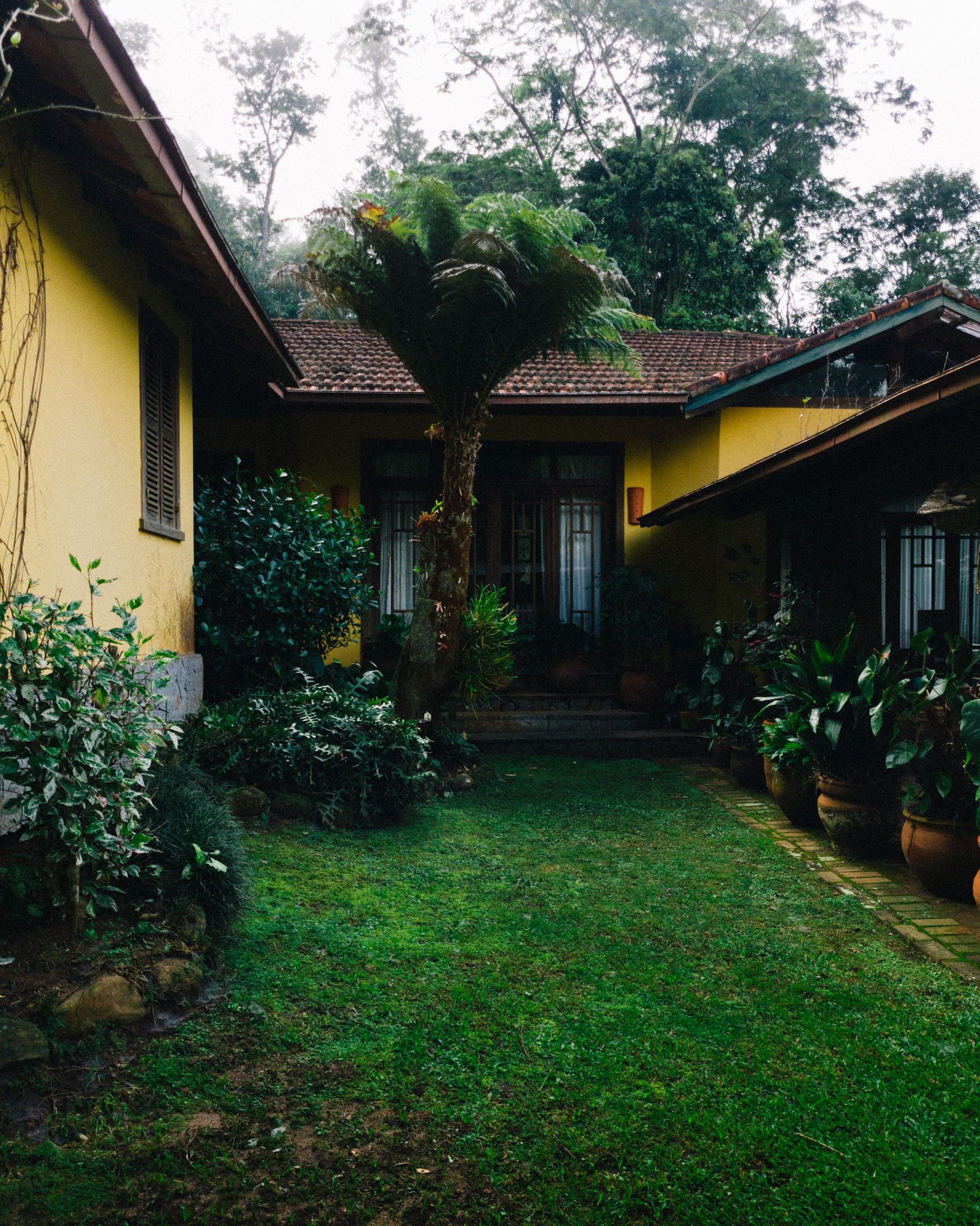 Healthy green lawn after professional landscape maintenance