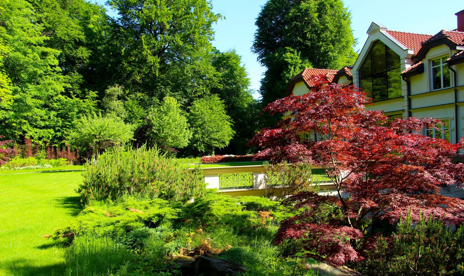Manicured garden lawn with fresh growth