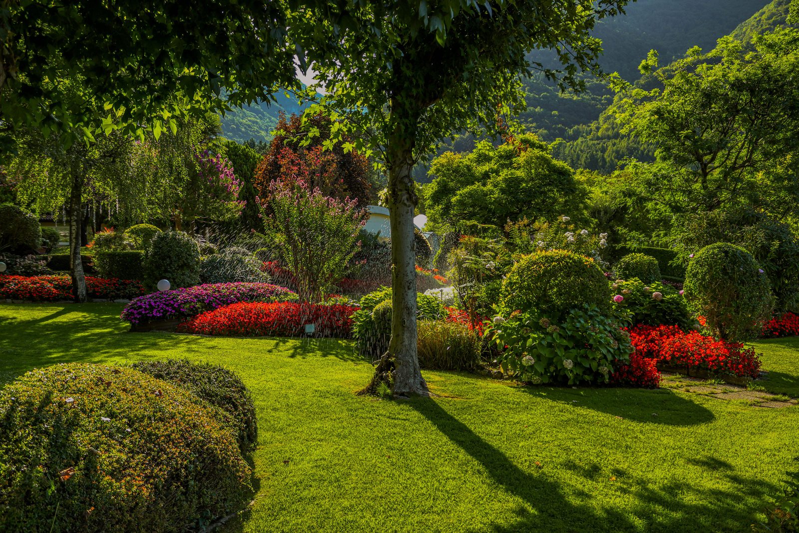 Well-maintained South African garden space